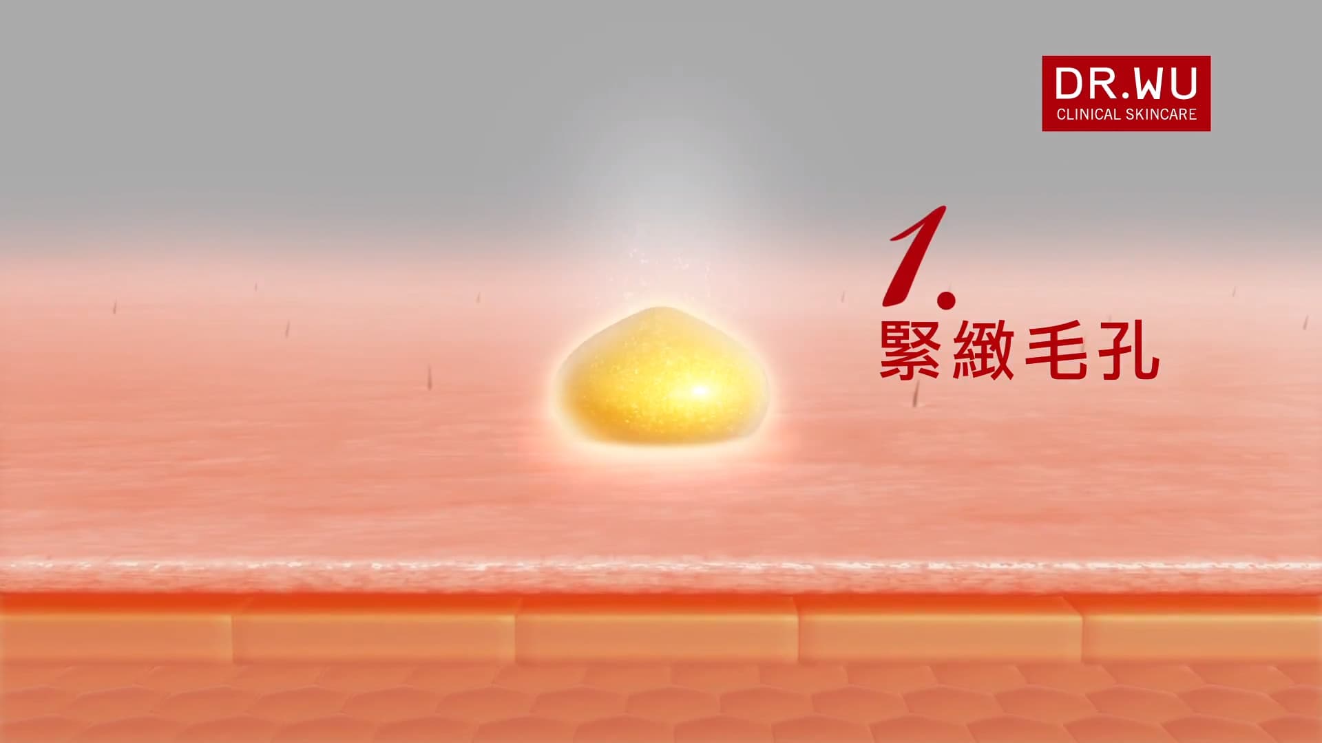 DR.WU 杏仁酸亮白篇