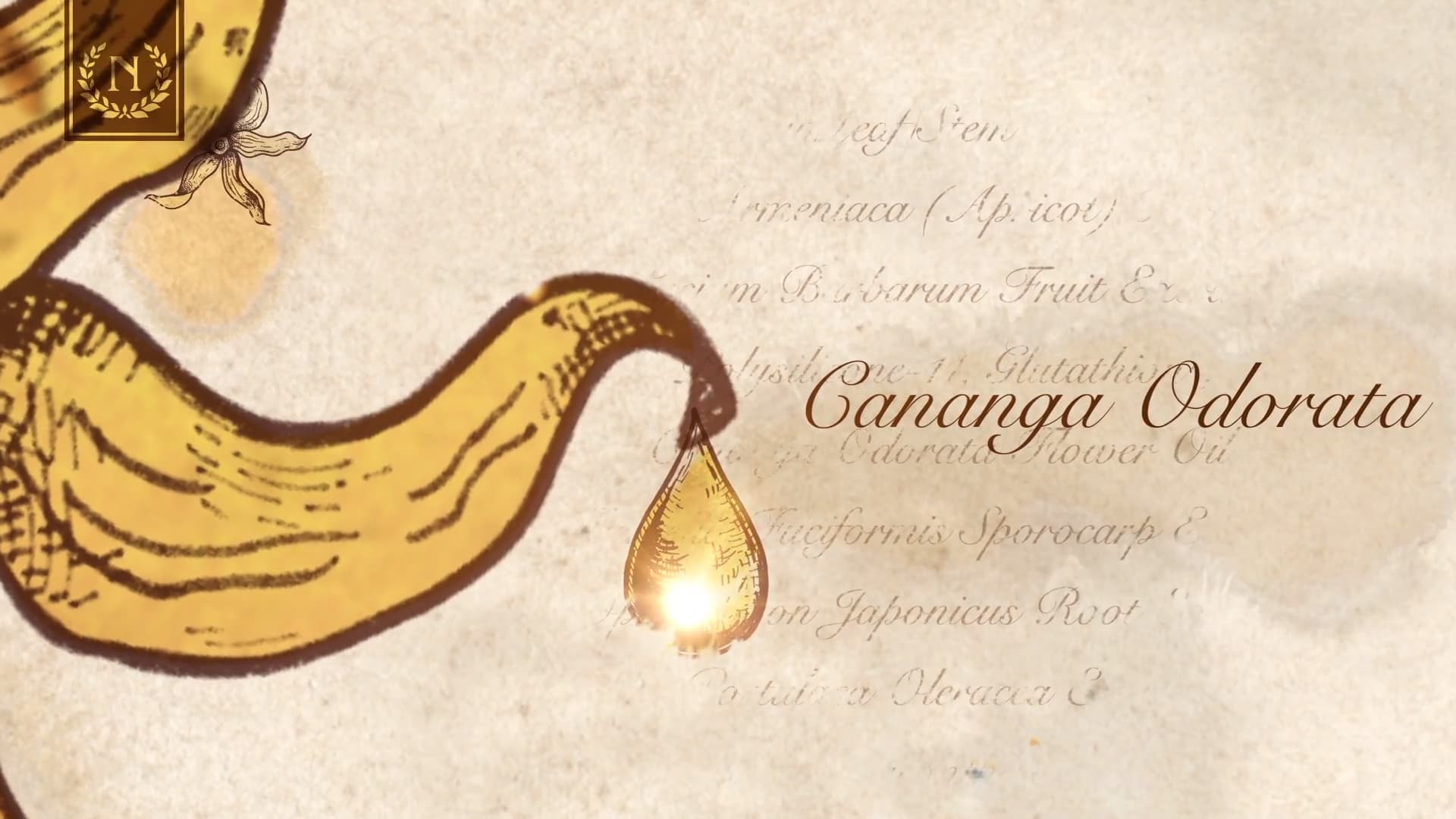 THE NAMIR 瑜伽面膜 & 依蘭眼霜